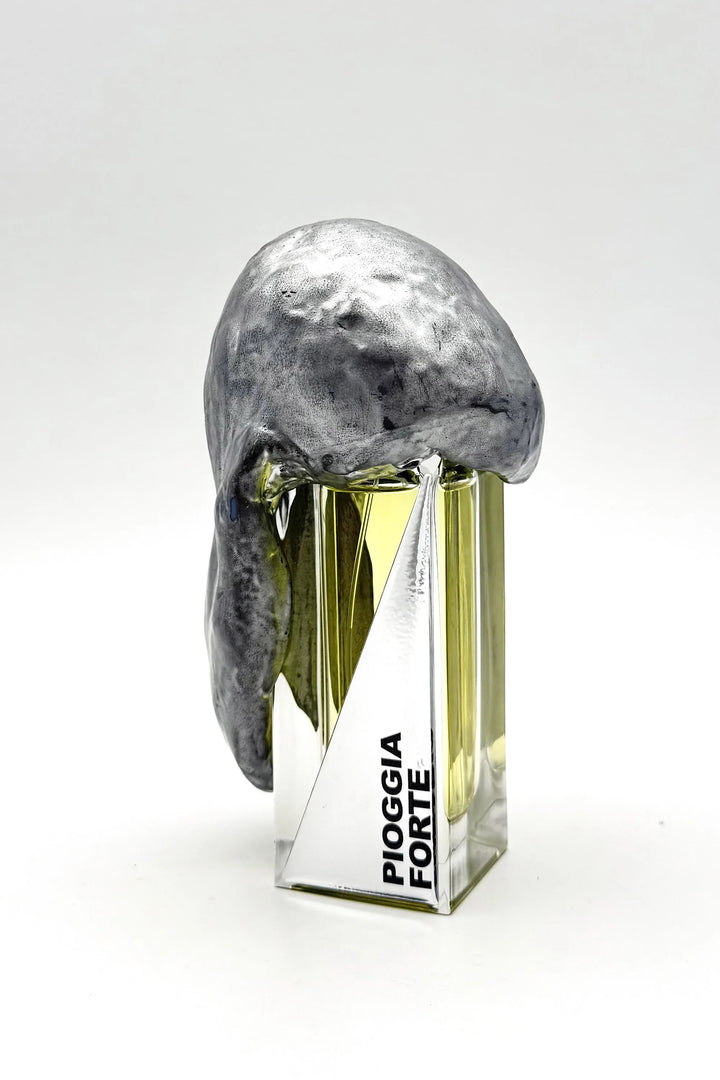 CAMPIONCINI FRAGRANZE 1ML