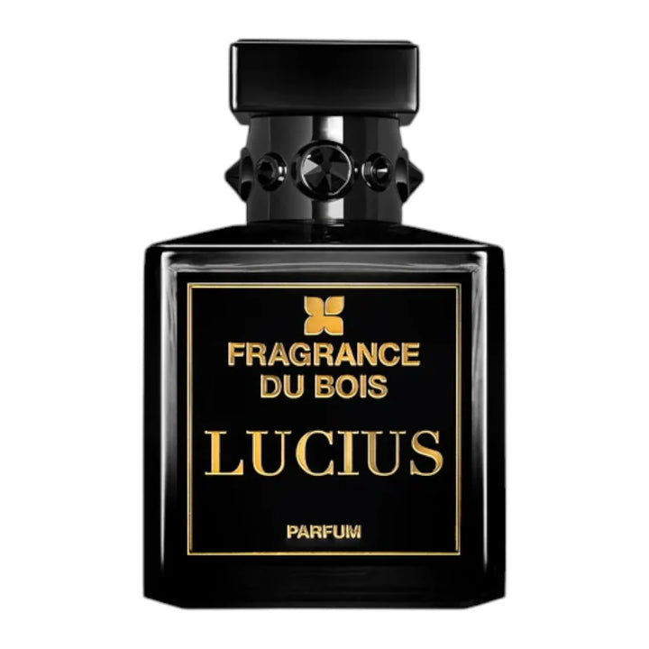 Voyage to Paris extract dp 100ml