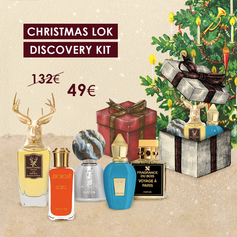 Christmas LOK Discovery Kit